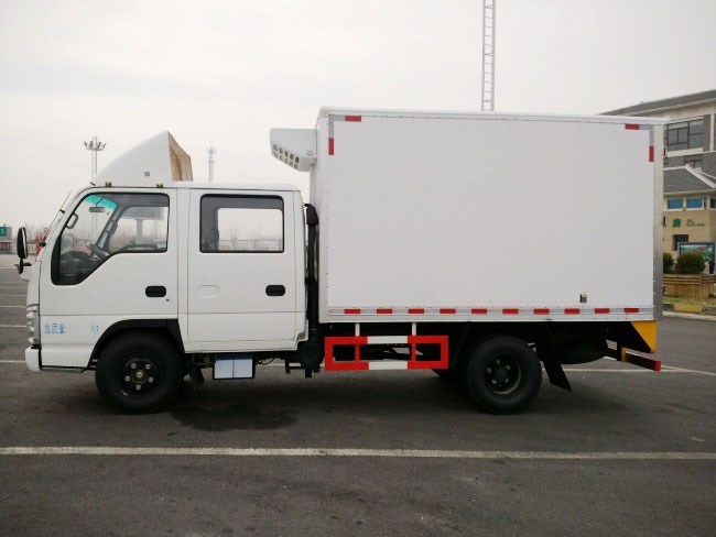 (厢长3.15米)五十铃双排冷藏车